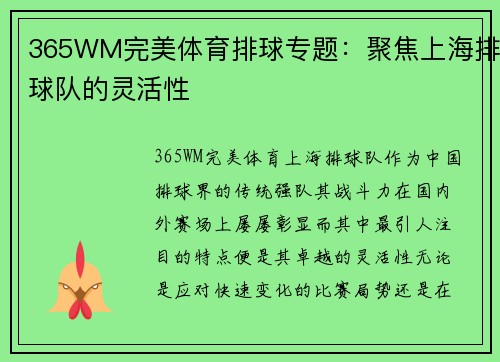 365WM完美体育排球专题：聚焦上海排球队的灵活性