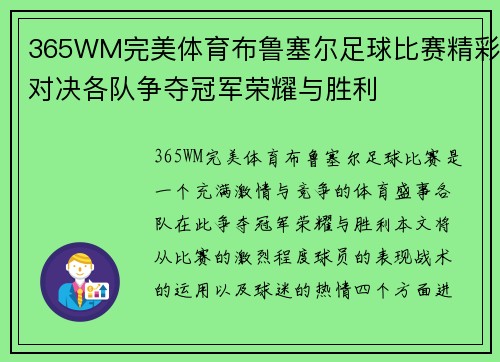 365WM完美体育布鲁塞尔足球比赛精彩对决各队争夺冠军荣耀与胜利